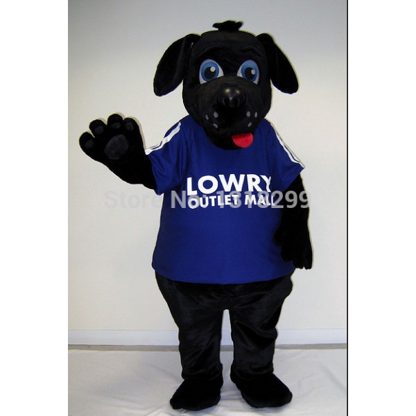 lowry labrador dog costume