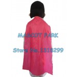 super man Mascot Costume