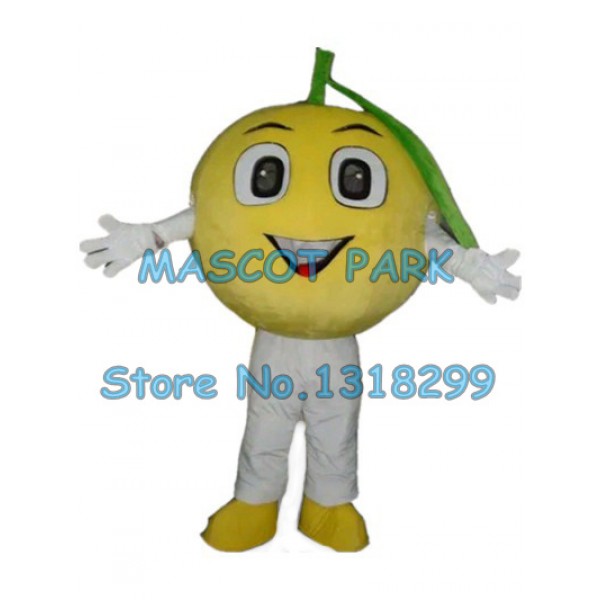 cute orange Mascot Costume