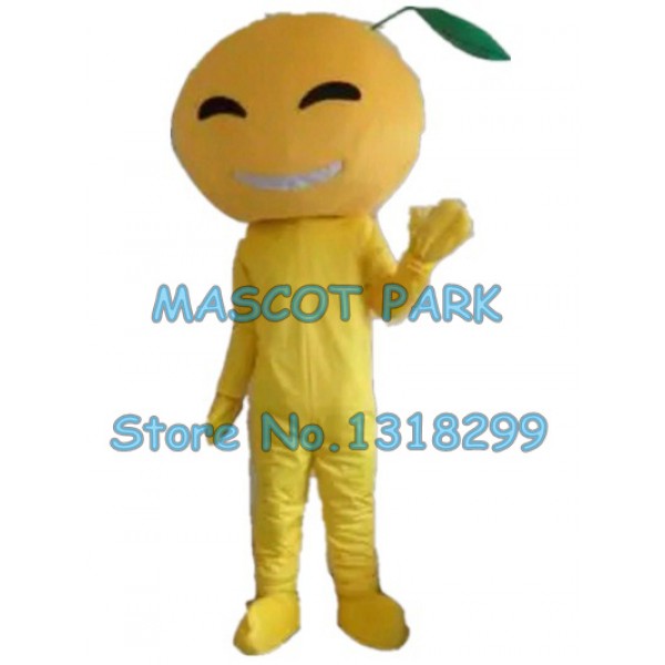 orange fruit Mascot Costume