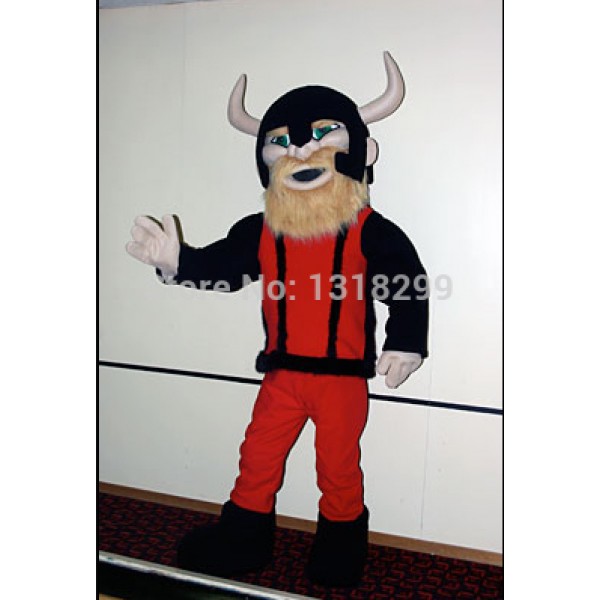 viking Mascot Costume