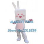 cartoon rabbit Mascot Costume