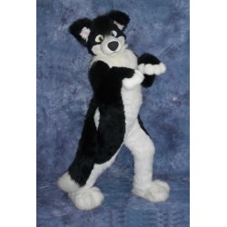 Border Collie Husky Dog Mascot Costume