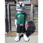 badger Mascot Costume