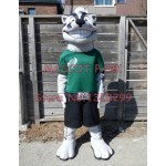 badger Mascot Costume