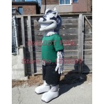 badger Mascot Costume