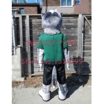 badger Mascot Costume