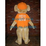 good yellow Retriever Mascot Costume