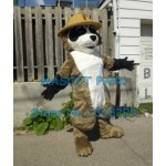 ranger rick racoon Mascot Costume