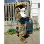 ranger rick racoon Mascot Costume