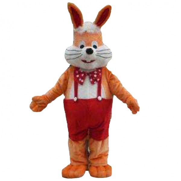 Rabbit Mascot Costume