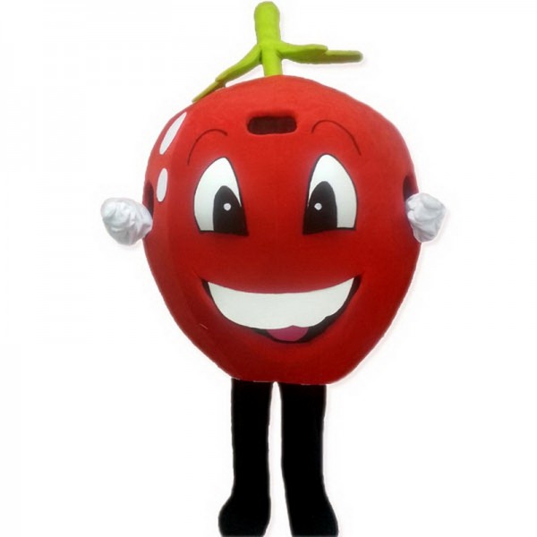 Red Apple Mascot Costume